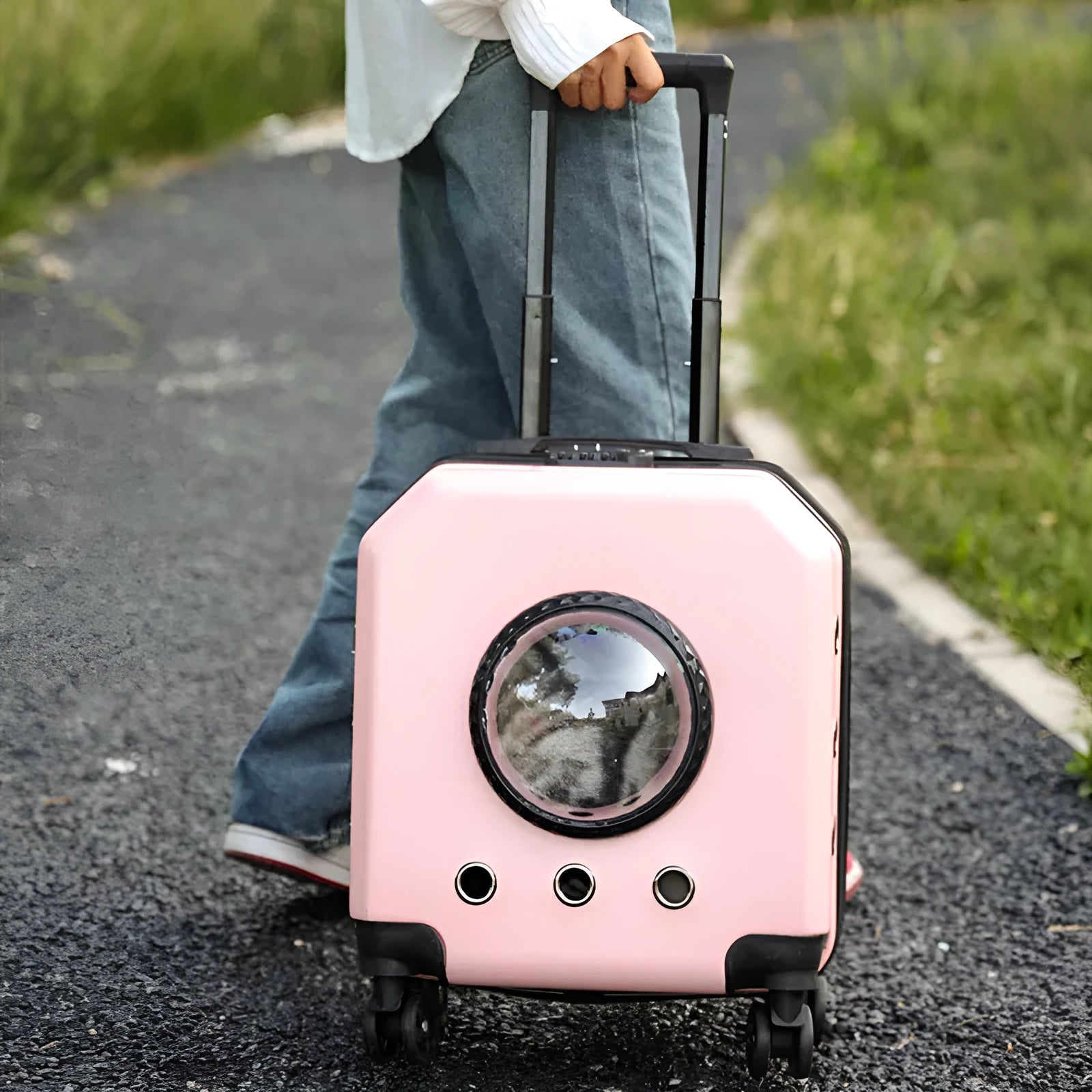 Hard PVC pet trolley case in orange colour with wheels and luggage compartment