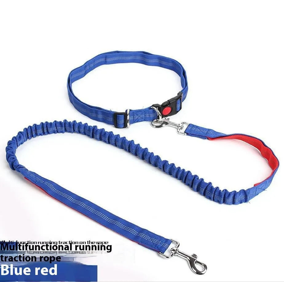 Reflective elastic dog leash in grey and green colour combination measuring 2.5cm wide