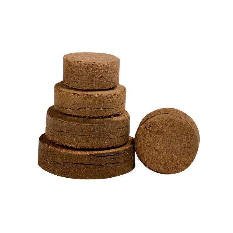 Assorted sizes of compressed nutrient soil blocks for gardening and seedling cultivation.