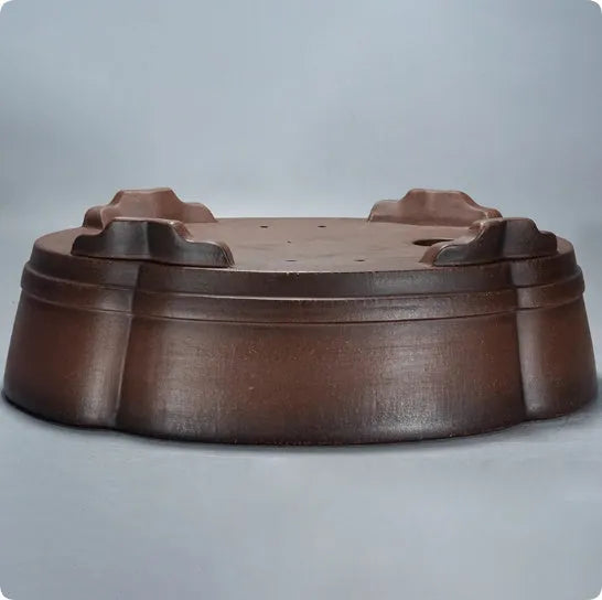 Classical purple clay bonsai pot measuring 50 cm wide with natural ceramic texture