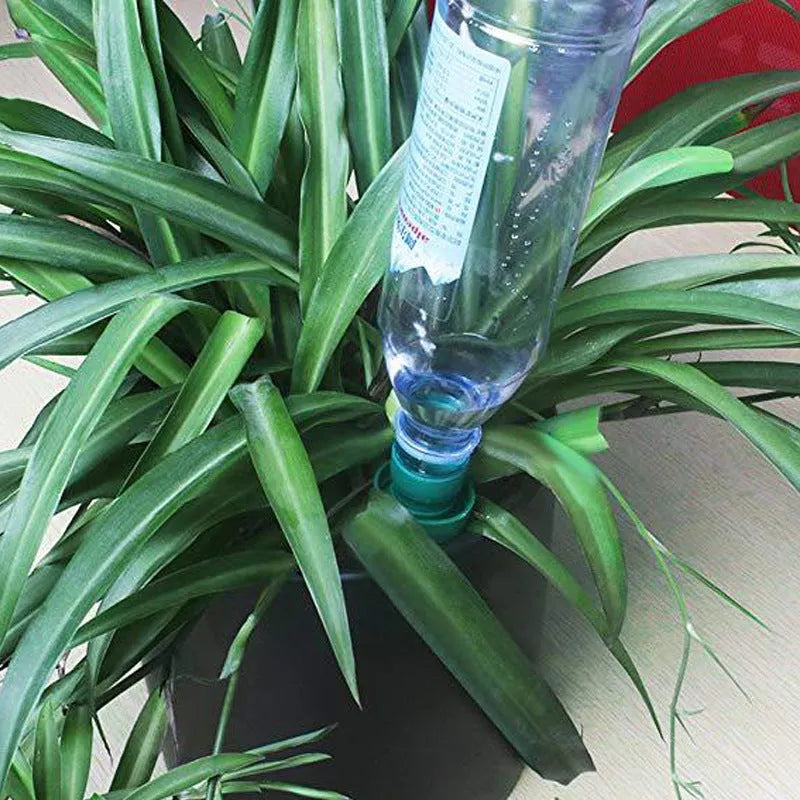 Green ceramic plant watering dripper attached to cola bottle for automatic irrigation