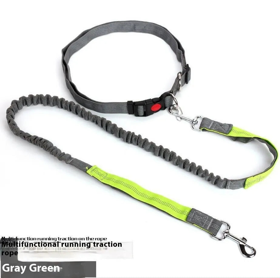 Reflective elastic dog leash in grey and green colour combination measuring 2.5cm wide