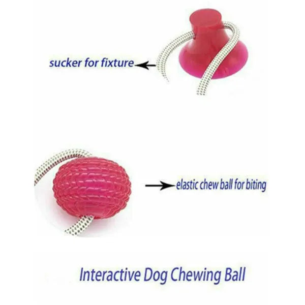 Dog biting sucker multifunction pet molar bite toy made from plastic, rubber, TPR and cotton fibre rope for dogs