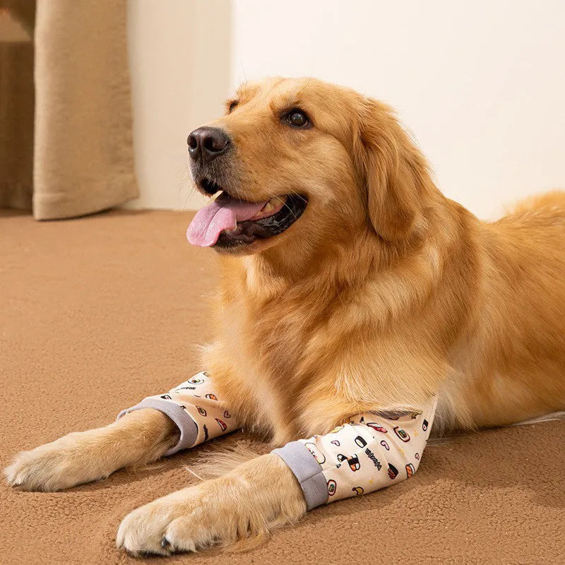 Adjustable dog knee protector with extra-thick elbow padding and matching scarf on medium breed dog