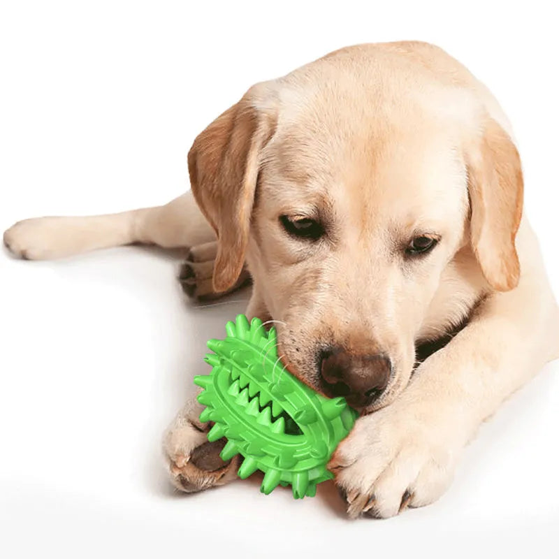 Green and yellow cactus-shaped dog chew toy with textured bumps and a central channel for dental care.