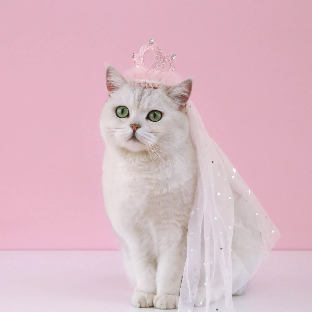Beige and pink pet princess crown veil headdress accessory for cats and dogs.
