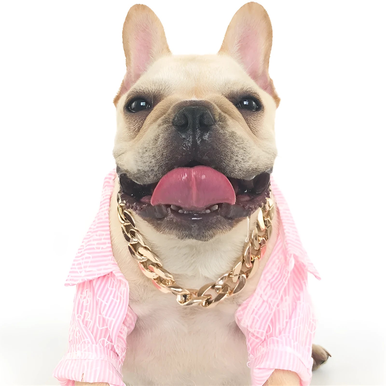 Geometric shaped gold colour dog collar with chain links and buckle on a white background.