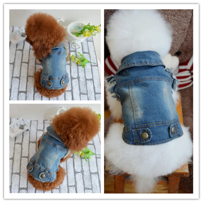 Denim dog vest with scratch pattern design for small breeds in dark and light colour options