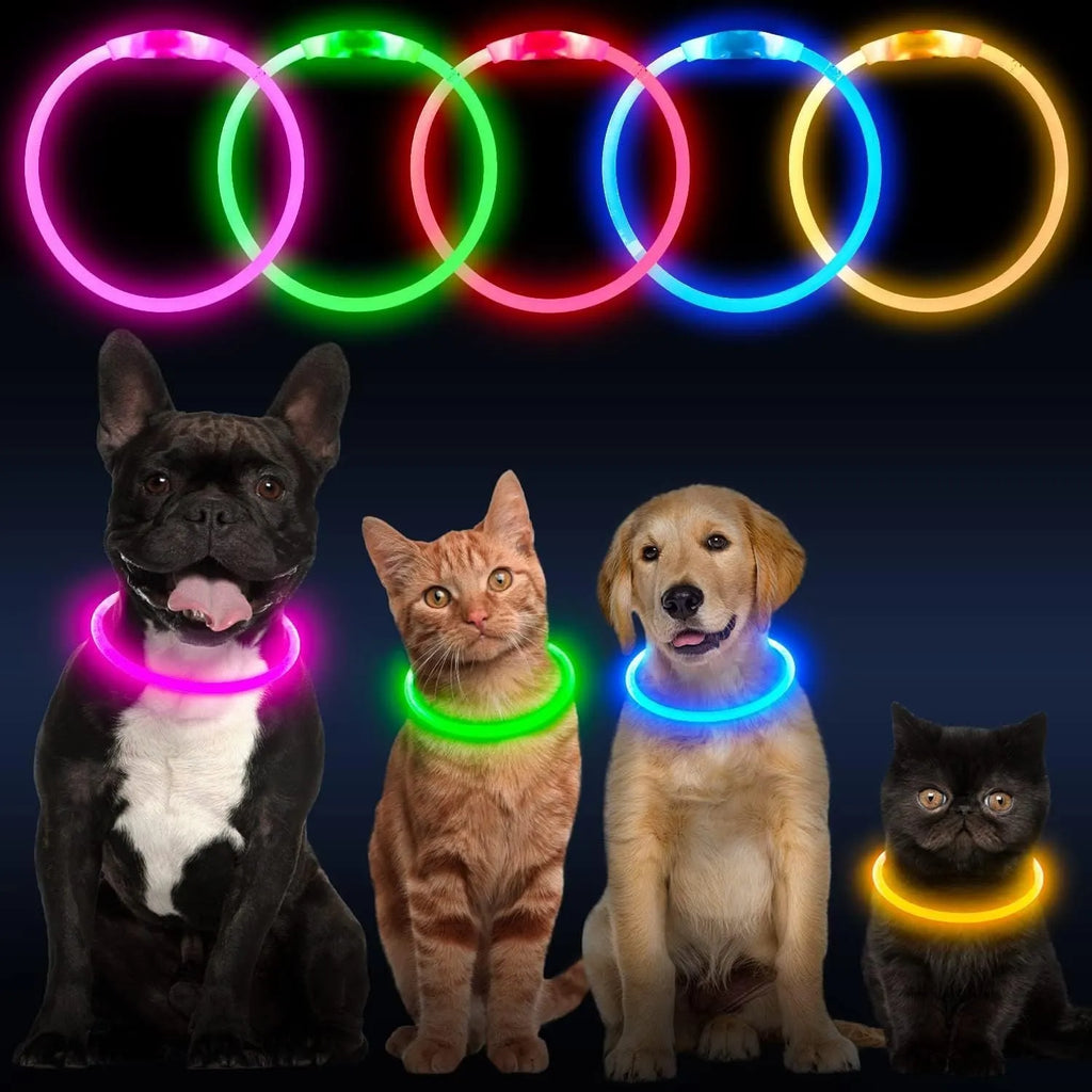 USB rechargeable LED dog collar glowing blue with adjustable 70cm length for night-time pet safety