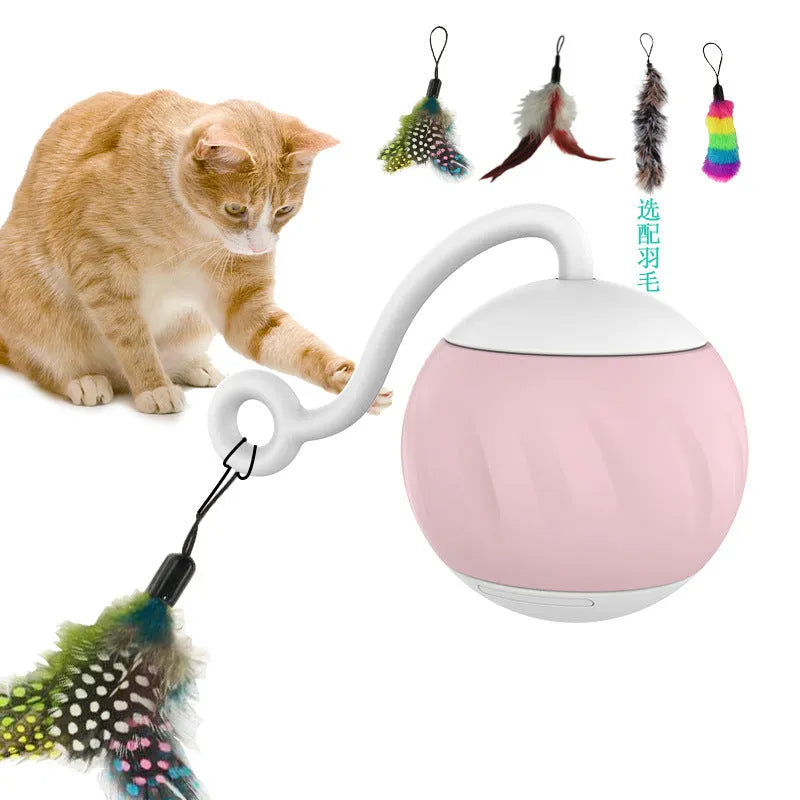 Automatic LED cat toy ball in watermelon green and pink or pumpkin orange design