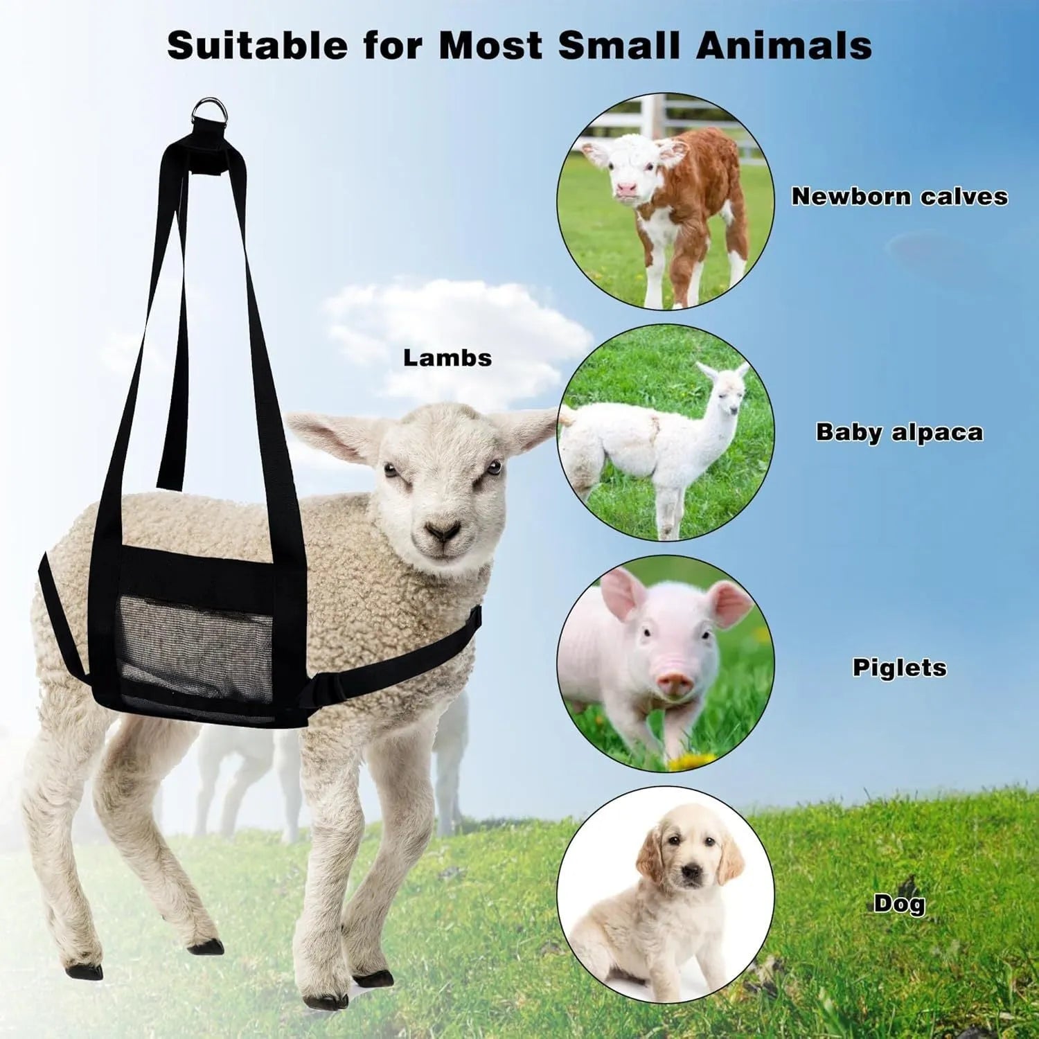 Black heavy-duty calf and large dog weighing sling, dimensions 35cm by 150cm.