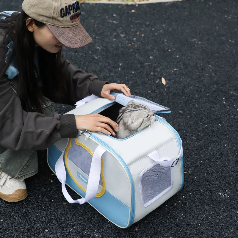 Outdoor foldable cat backpack carrier in blue colour with breathable panels.