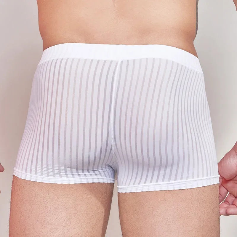 Men's thin transparent striped underwear in black, white and dark grey free size options