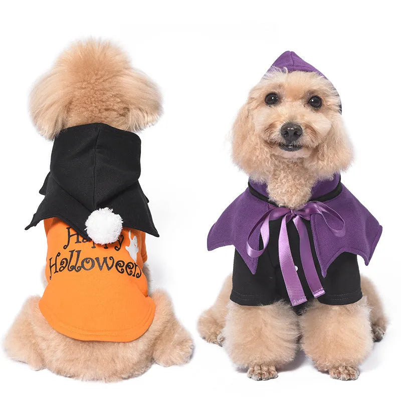 Black and orange Halloween dog sweater with pumpkin shawl costume on pet