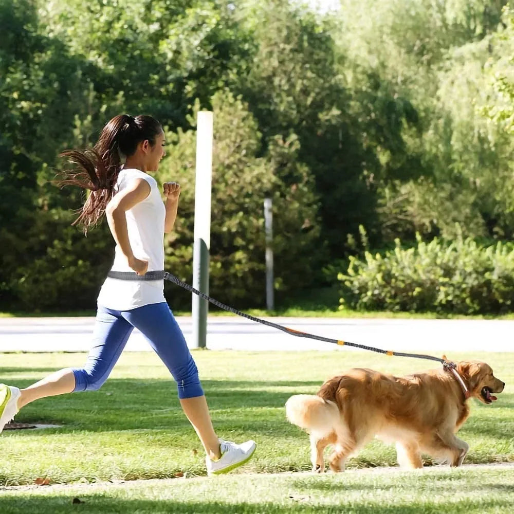 Adjustable nylon dog leash for jogging and walking, one size, in fluorescent green, orange, or light blue