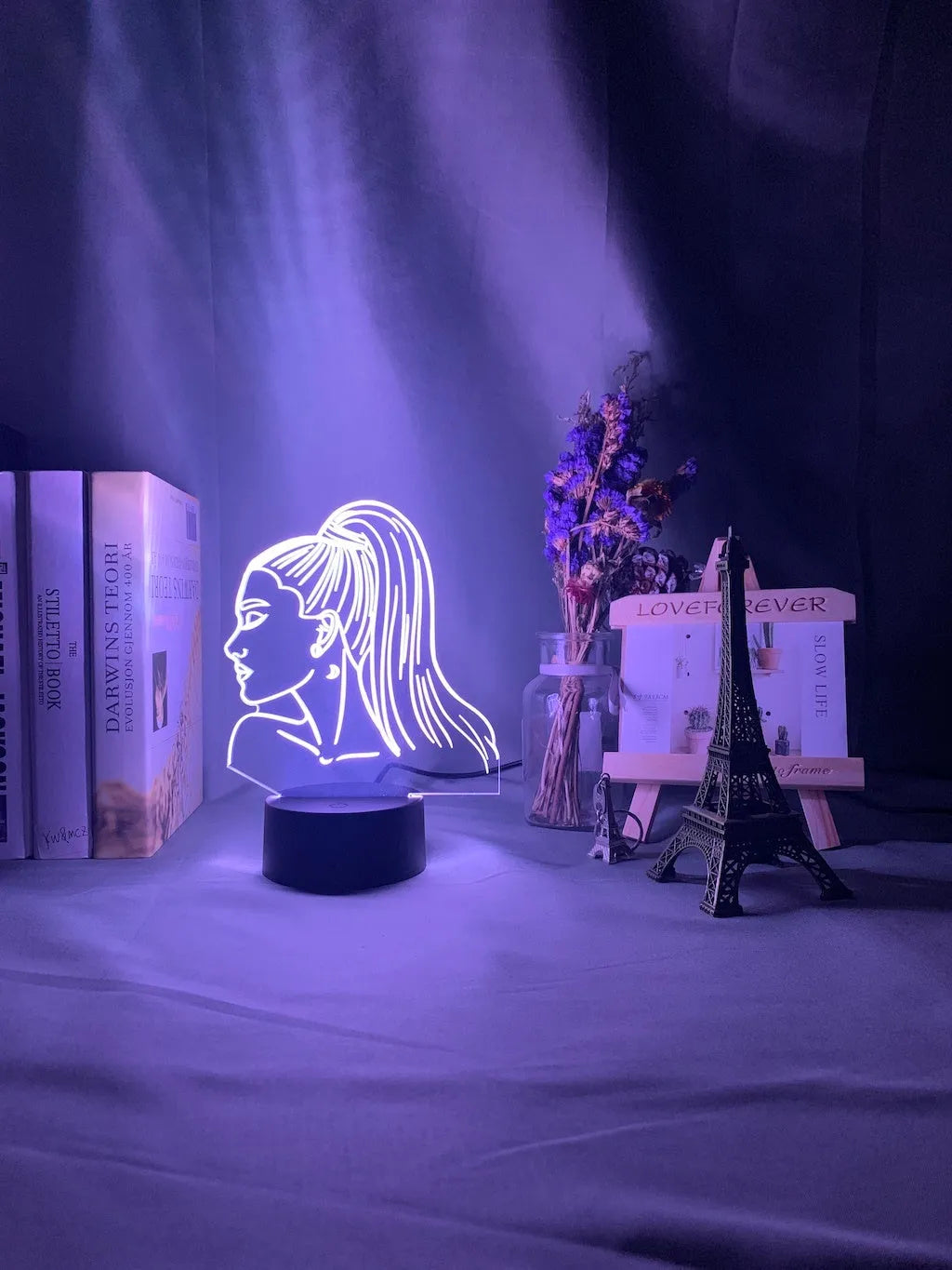 European style acrylic 3D LED night light showing colour options on a black base.