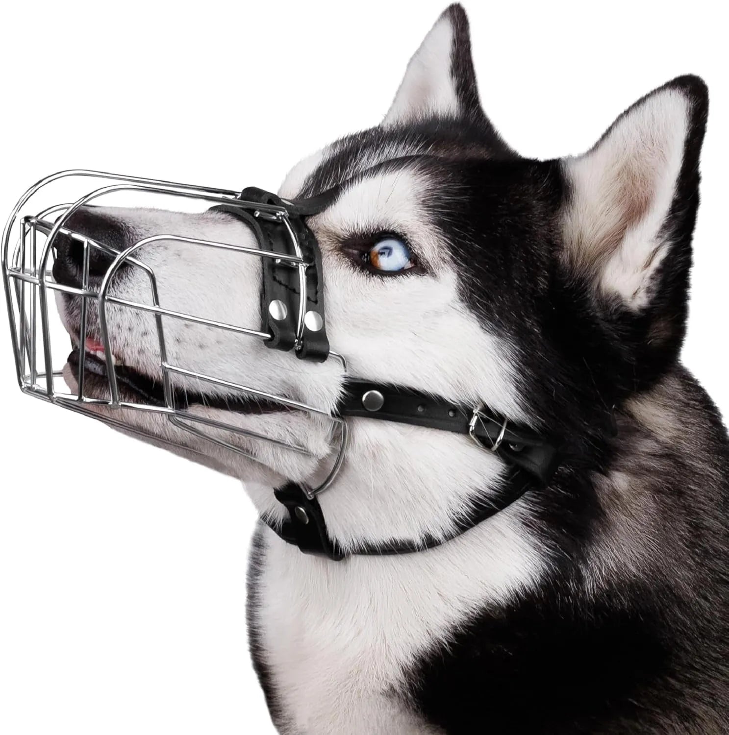 Black metal dog muzzle designed for a golden retriever or German shepherd.