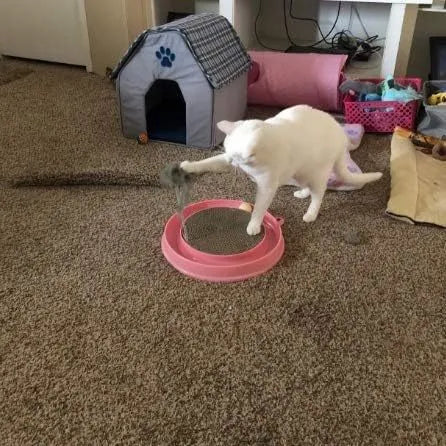 Blue interactive cat scratch pad with ball track and replaceable centre scratching surface