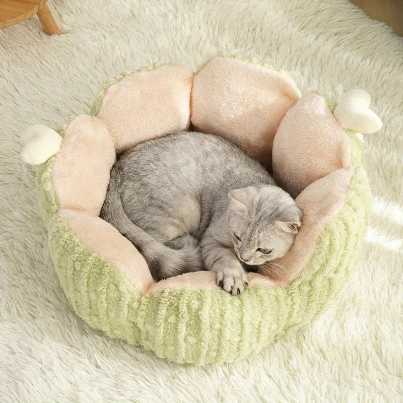 Cactus-themed soft cat litter kennel pet bed in green colour showing large size dimensions