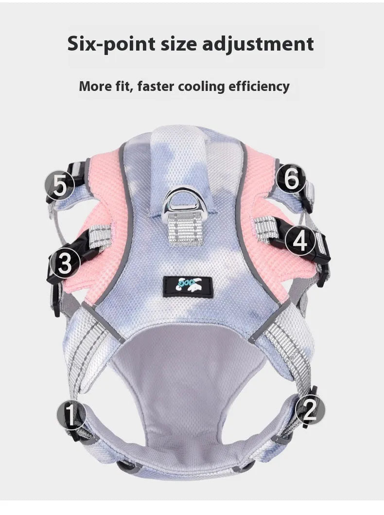 Reflective light blue polyester chest strap harness for a dog on a size chart showing XXS to L.
