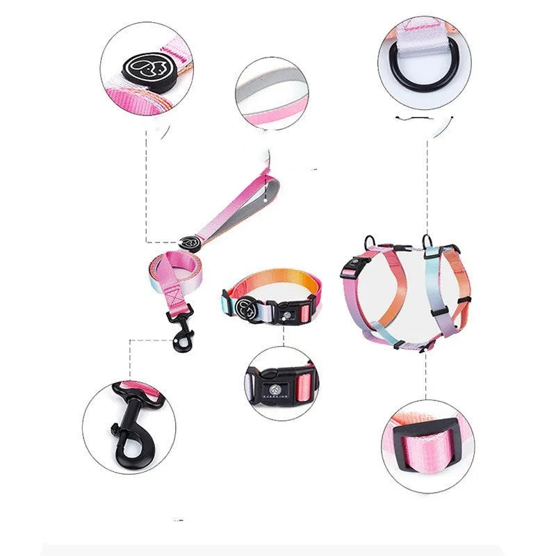 Gradient colour polyester dog harness in sizes S, M, L.