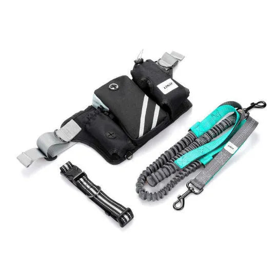 Black nylon dog walking waist bag and leash set for hands-free outdoor use