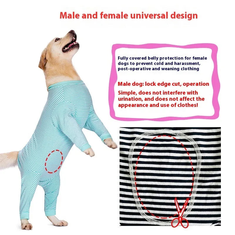 Striped four-legged dog shirt on Golden Retriever, available in sky blue, black dark blue stripe and brown colours