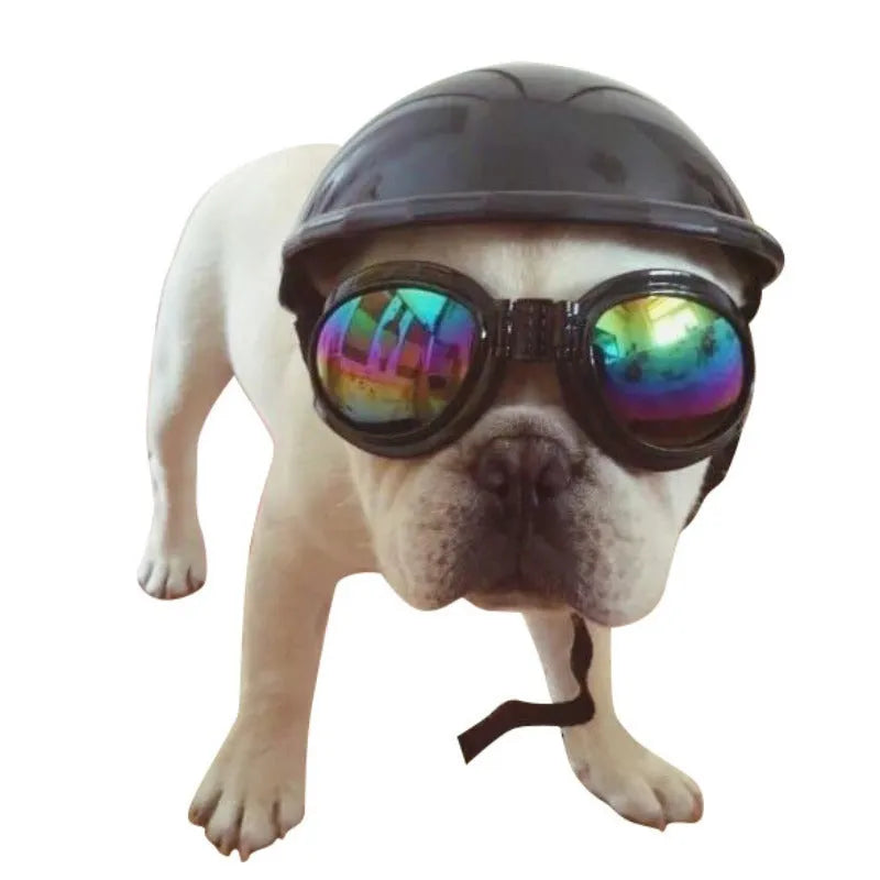 A pink plastic dog helmet cap showing its rigid shape and solid colour, sized for a small dog.