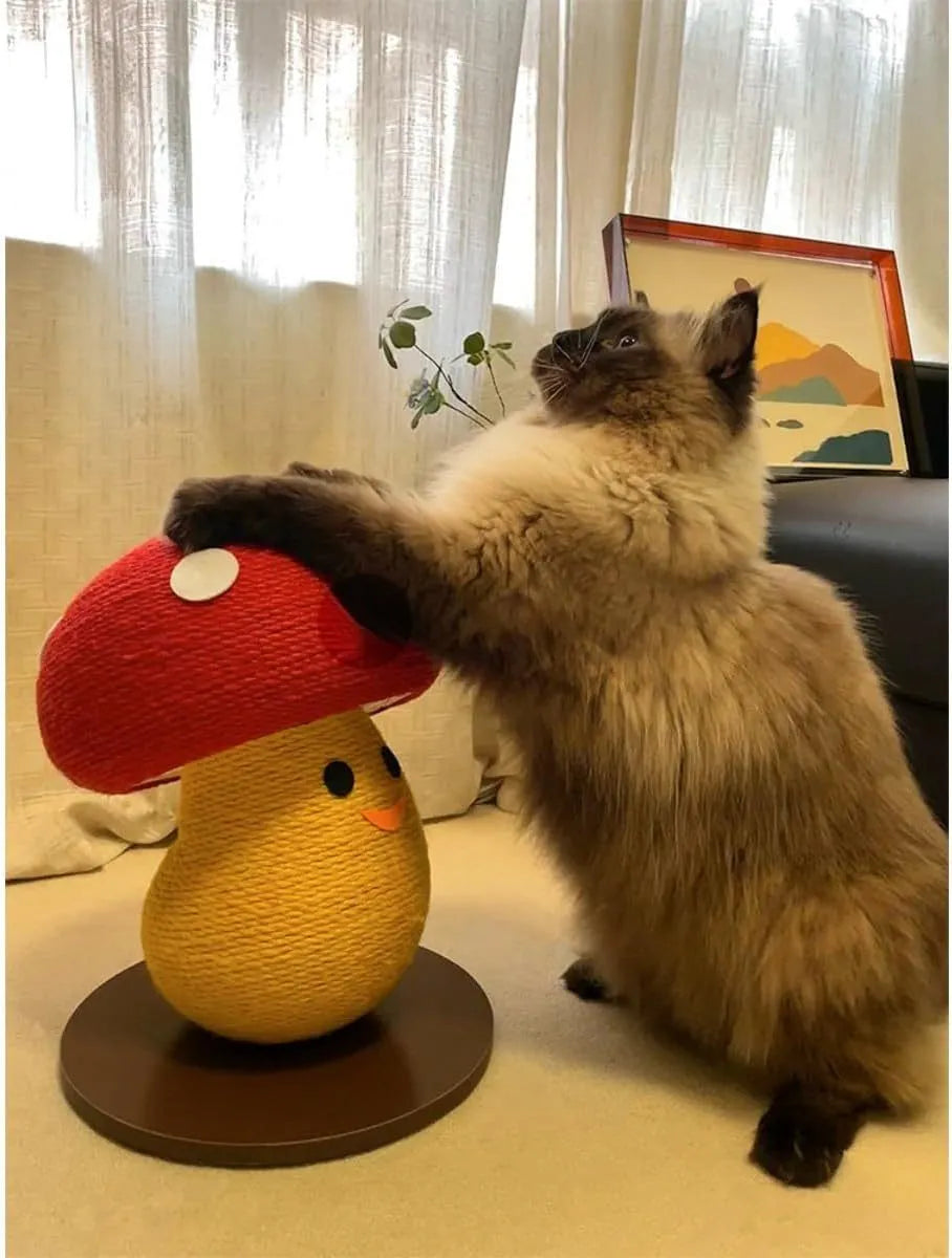 Foldable accordion design cat scratcher that converts to round cardboard bed, mushroom shape