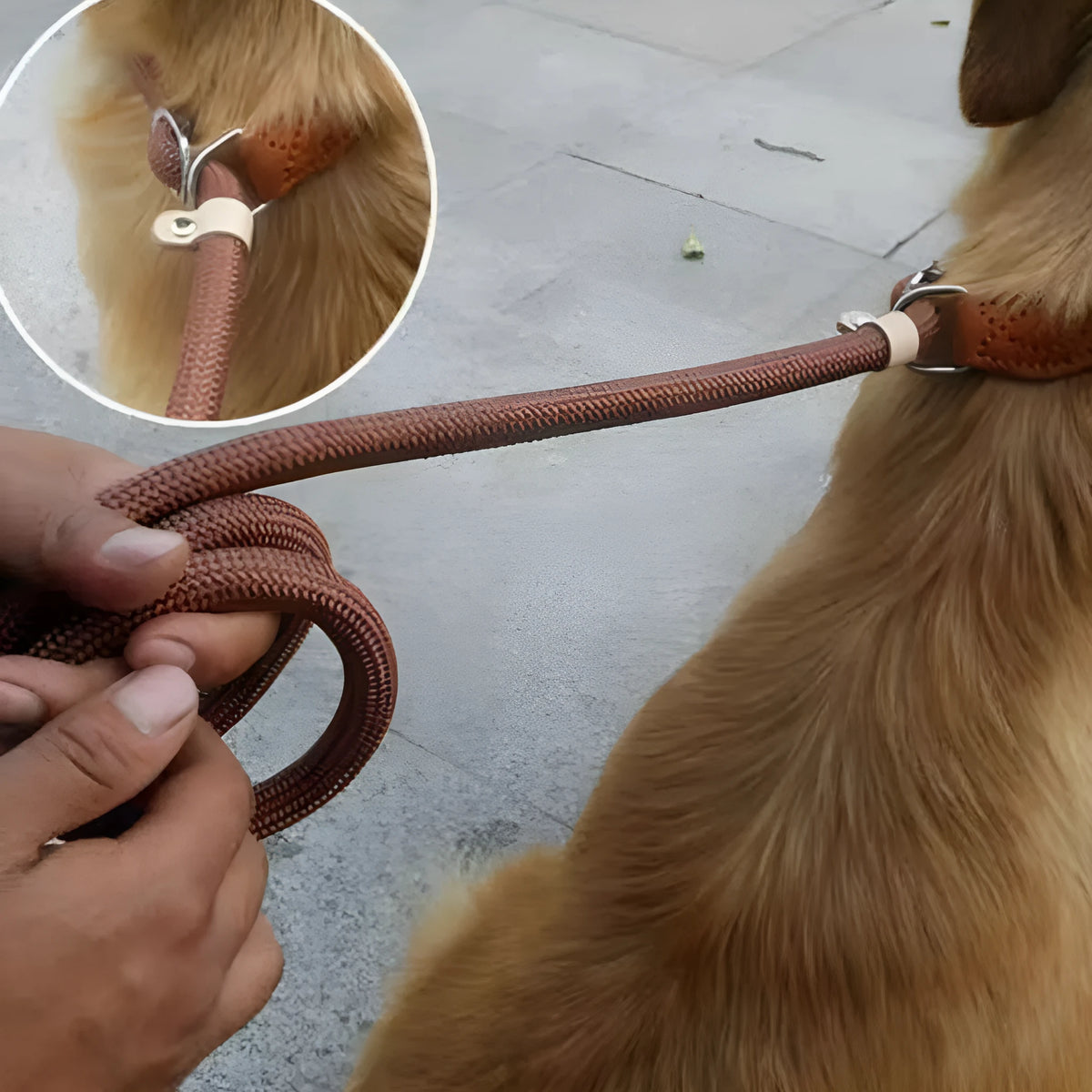 Brown nylon P chain hand holding dog leash showing 2.1 metre length and thickness options