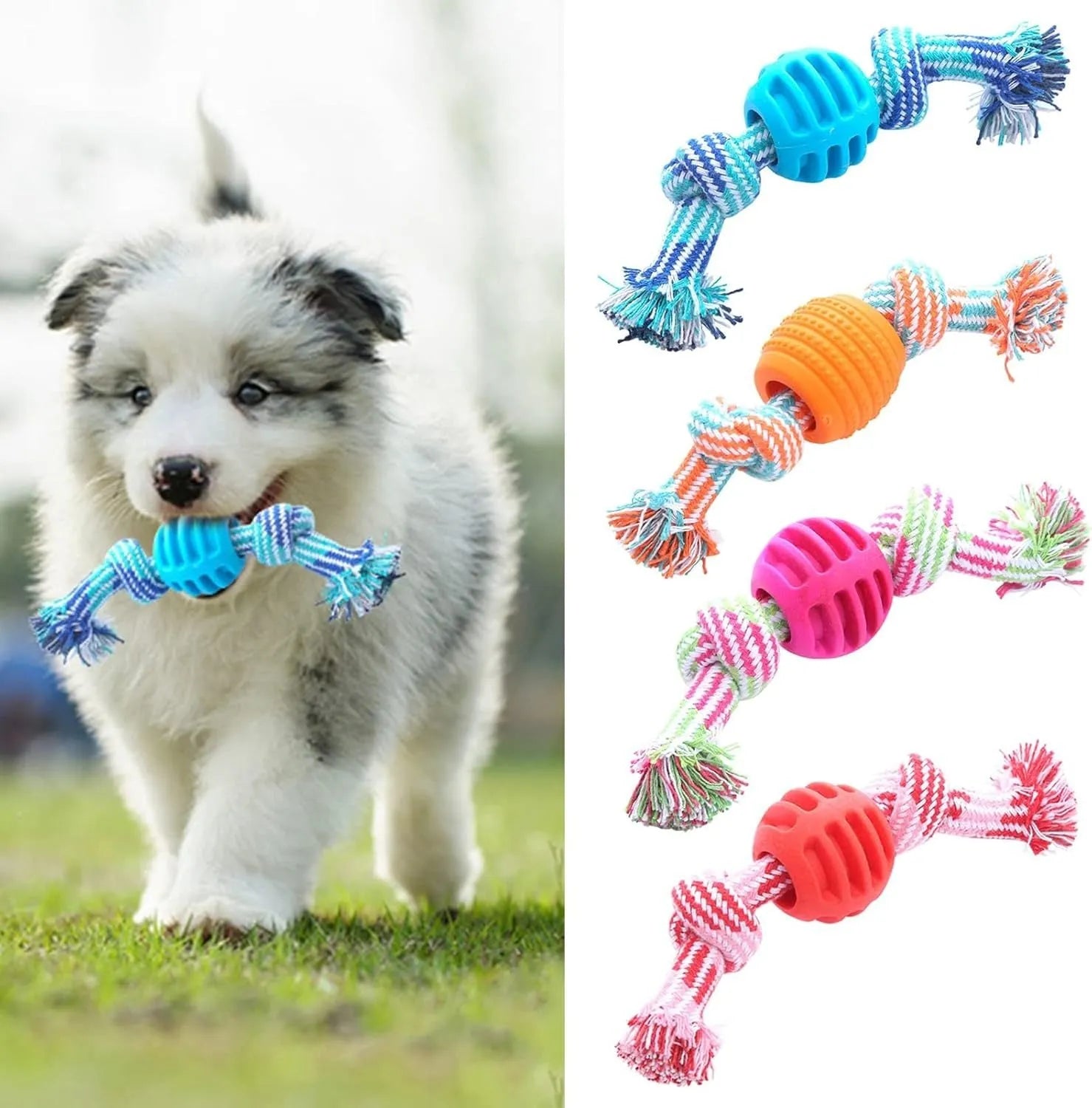 Blue soft dog chew toy with molar-shaped textured head and integrated knotted rope for dental care.