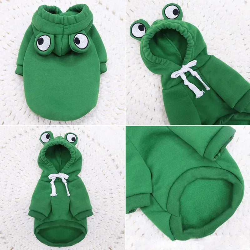 Green frog pattern pet hoodie costume for small dog wearing