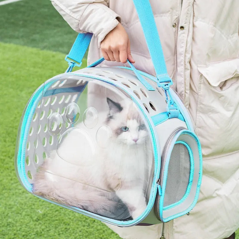 Transparent hard-shell EVA cat backpack carrier showing interior space