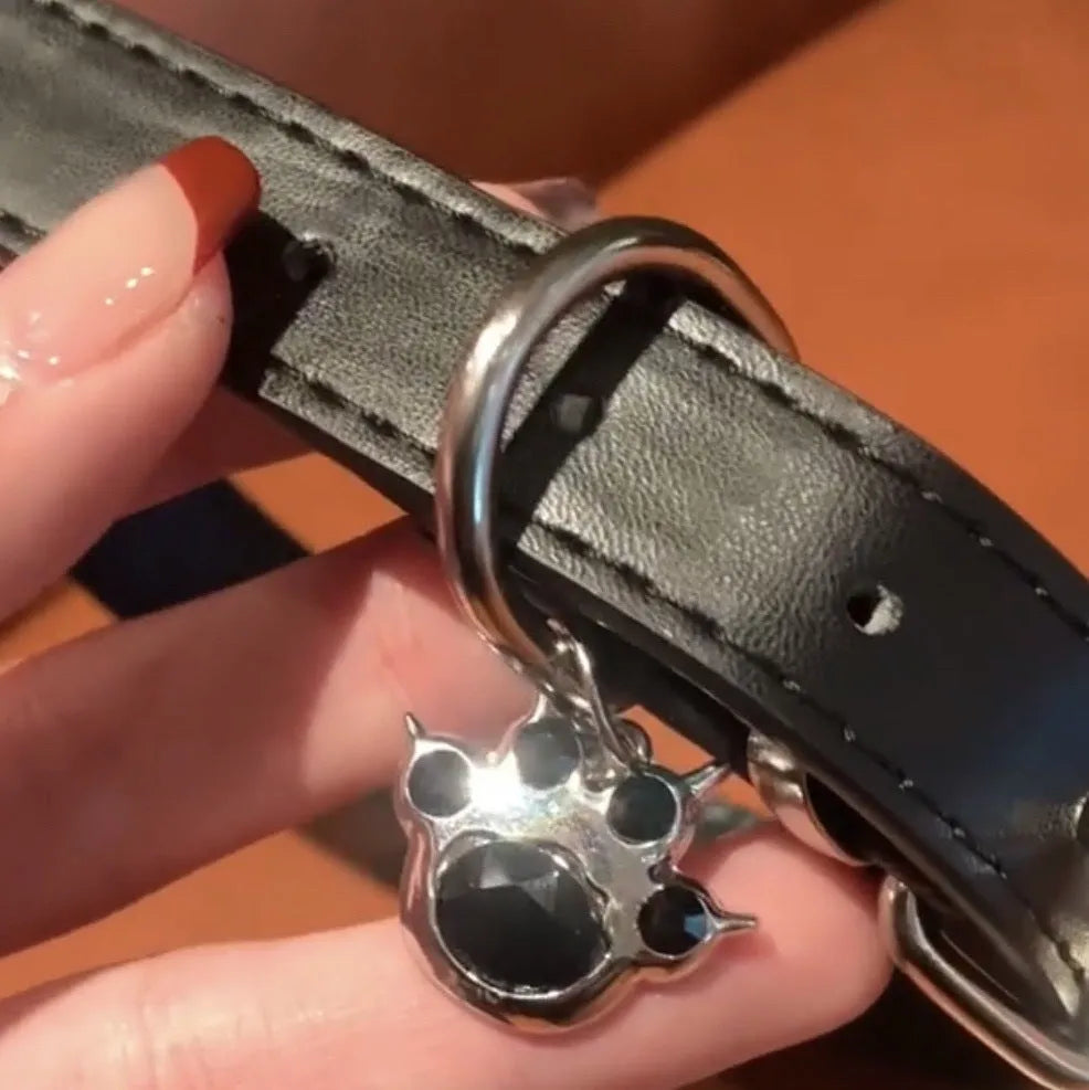 Black adjustable dog collar with choice of cat paw, bone, or LD leather charm on a white background.