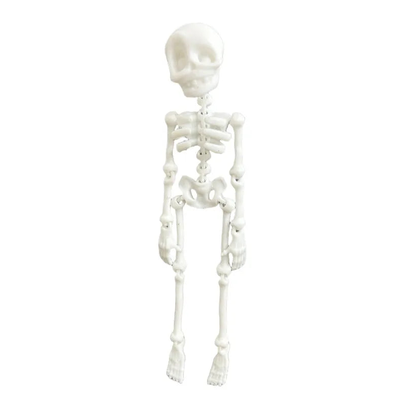 3D printed white skull refrigerator magnet showing detailed design and 18cm height