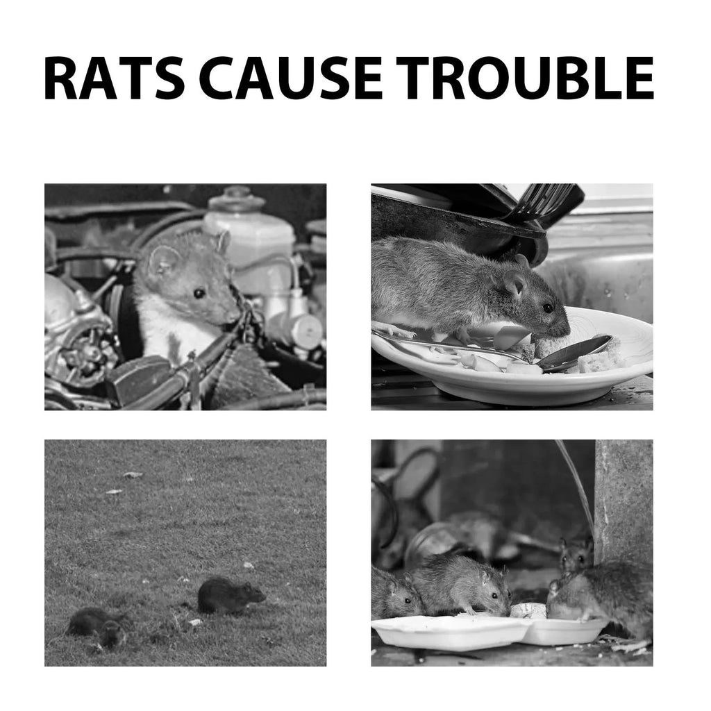 60ml natural rat repellent spray bottle with clove, peppermint, camphor and chili essential oils