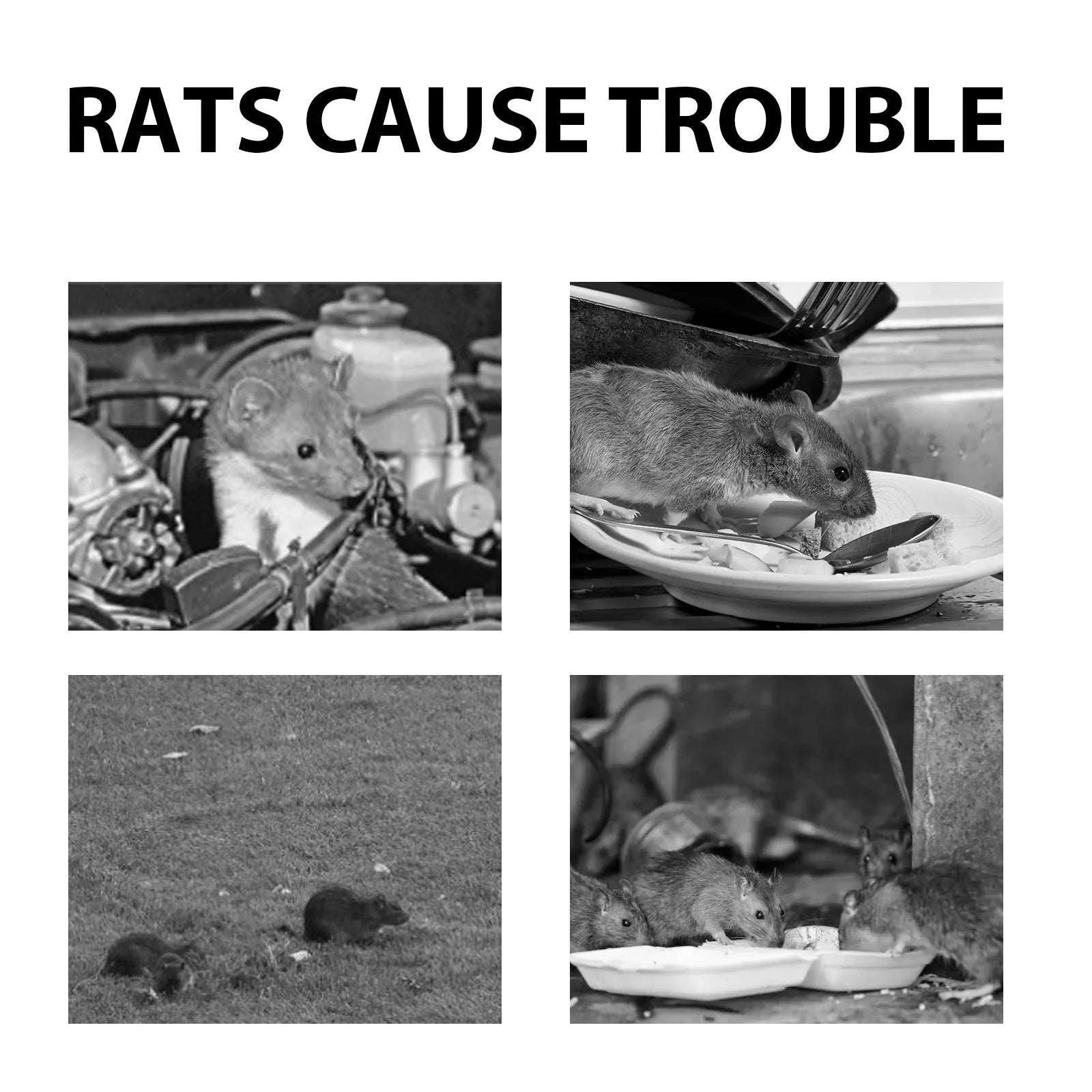 60ml natural rat repellent spray bottle with clove, peppermint, camphor and chili essential oils