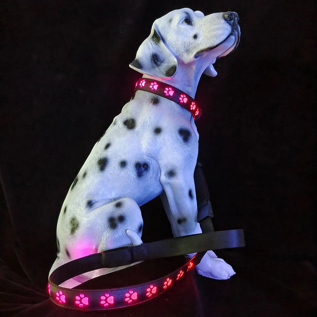 LED luminous dog collar showing paw print design with seven colour changing modes on adjustable polyester strap