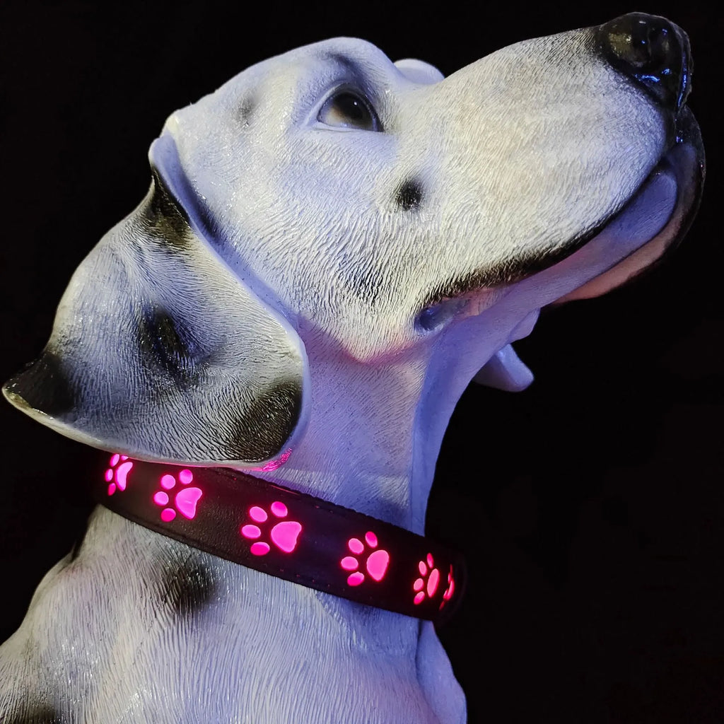 LED luminous dog collar showing paw print design with seven colour changing modes on adjustable polyester strap