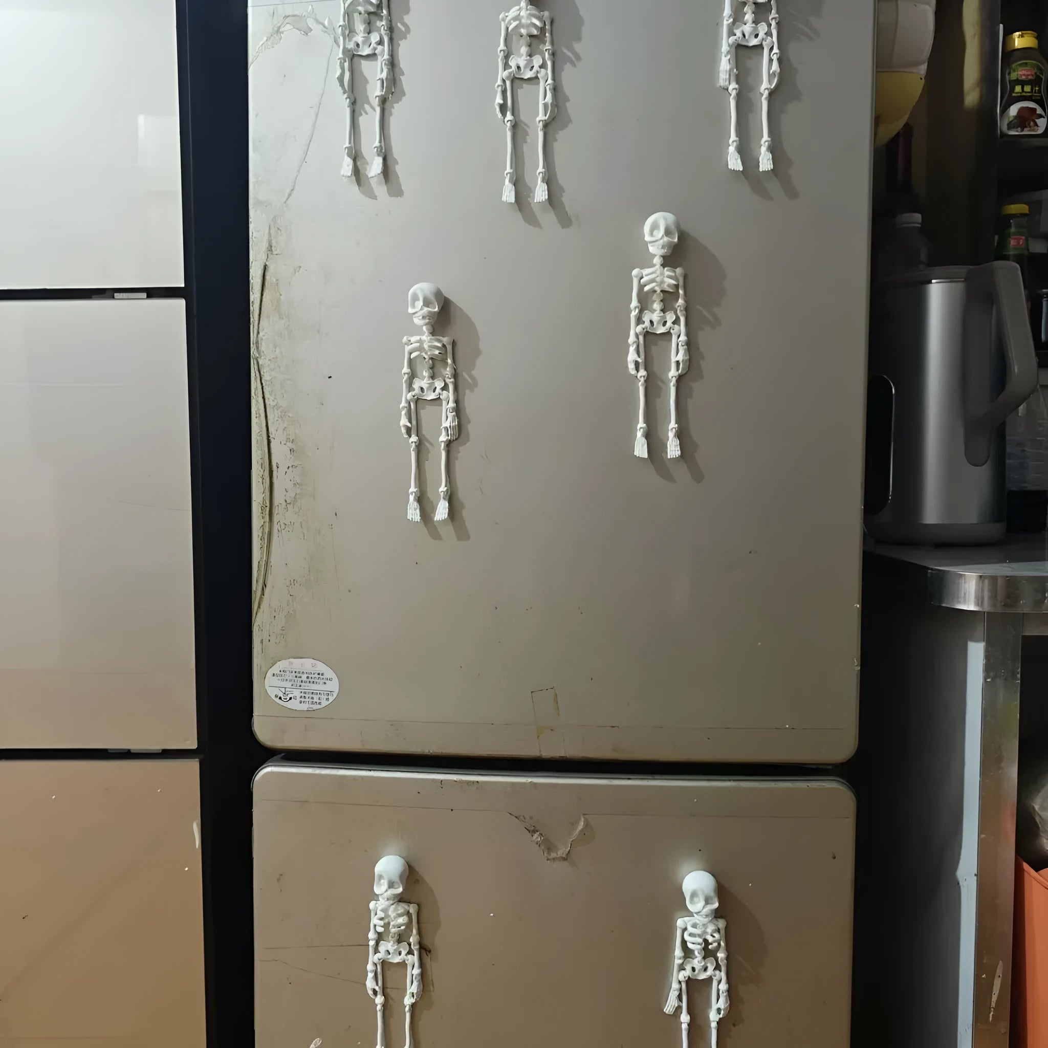 3D printed white skull refrigerator magnet showing detailed design and 18cm height