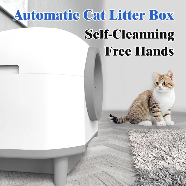White automatic enclosed cat litter box with dimensions 556mm by 512mm by 590mm.