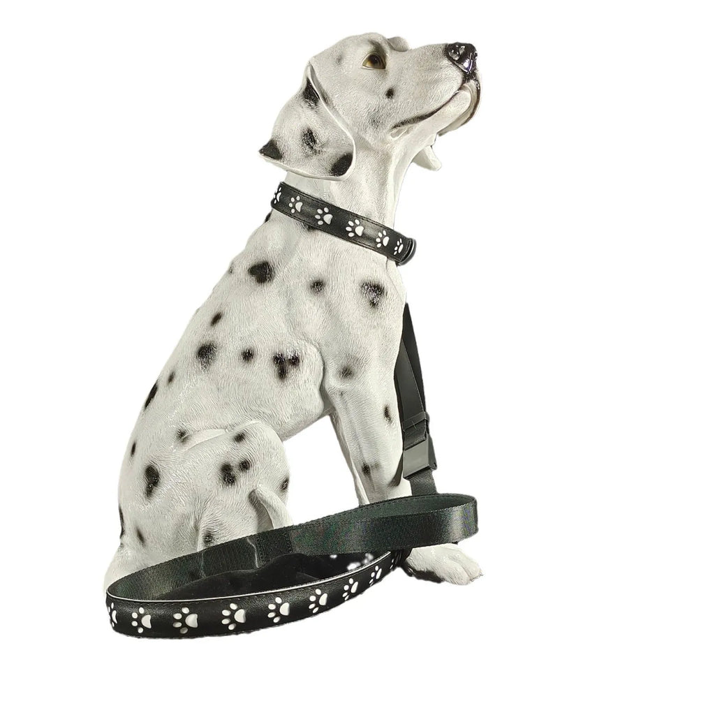 LED luminous dog collar showing paw print design with seven colour changing modes on adjustable polyester strap