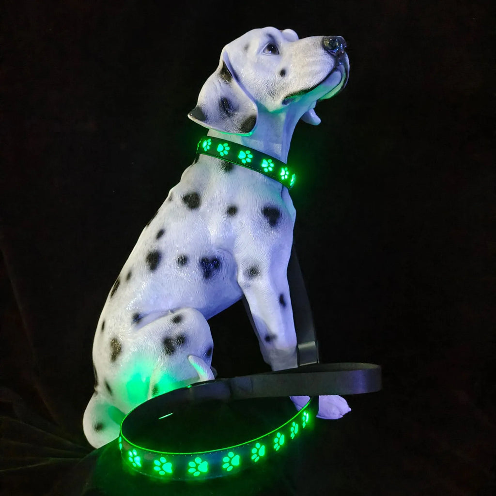 LED luminous dog collar showing paw print design with seven colour changing modes on adjustable polyester strap