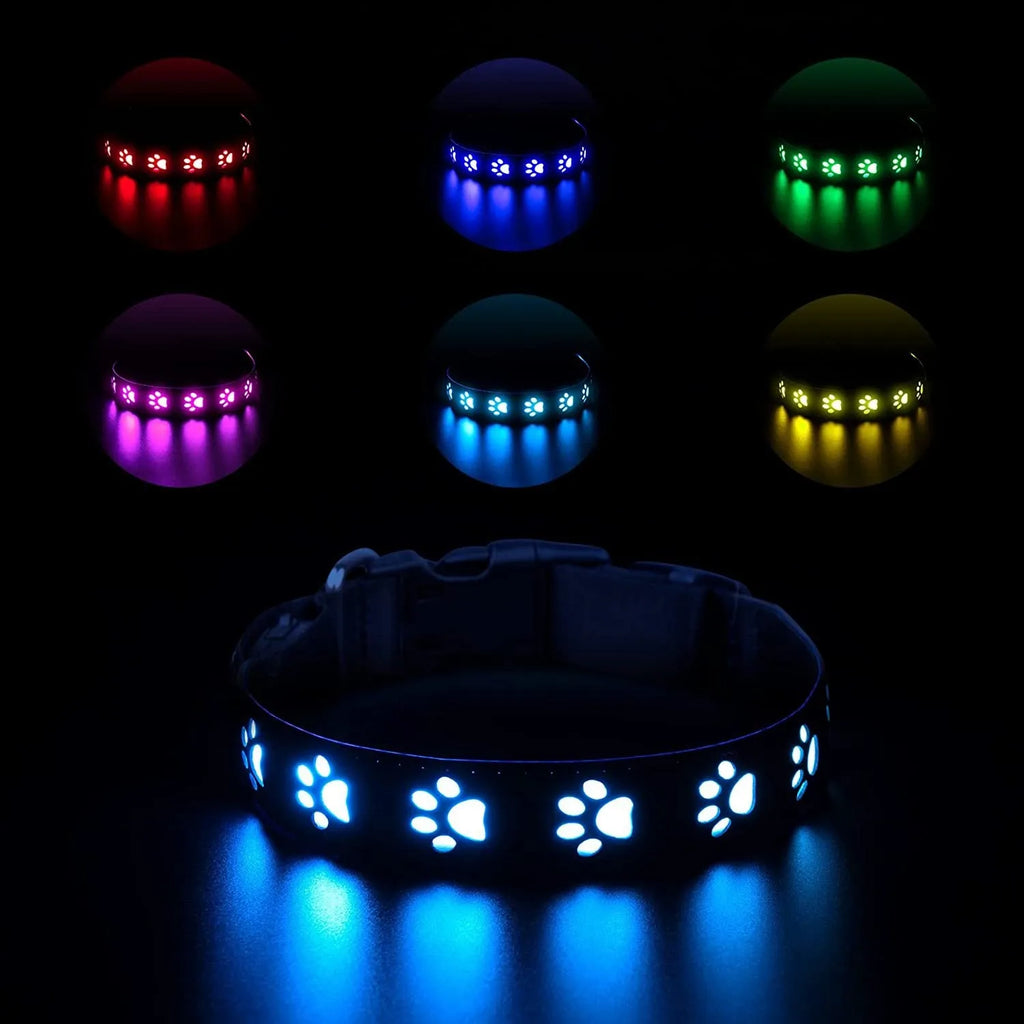 LED luminous dog collar showing paw print design with seven colour changing modes on adjustable polyester strap