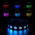 LED luminous dog collar showing paw print design with seven colour changing modes on adjustable polyester strap