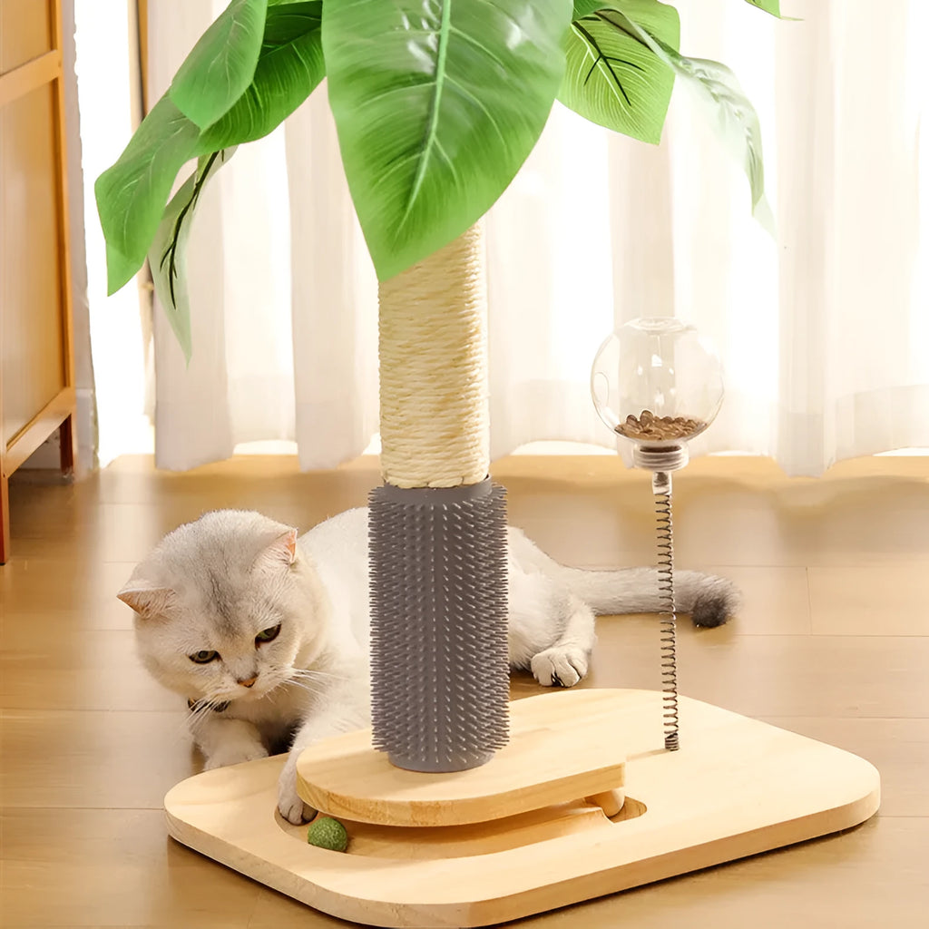 Wooden cat scratching post in canna colour with grab column food drop ball chamfering details