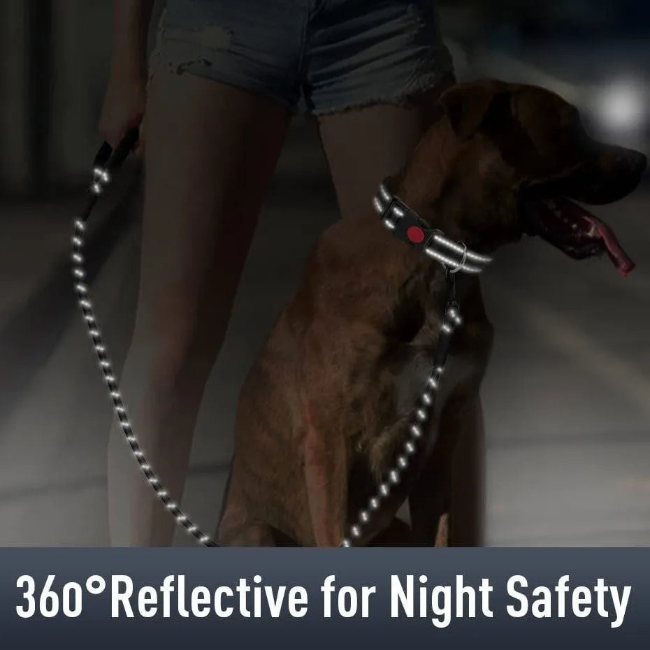 Reflective nylon dog collar with diving cloth tracker cover, in black, shown with adjustable buckle and four size options
