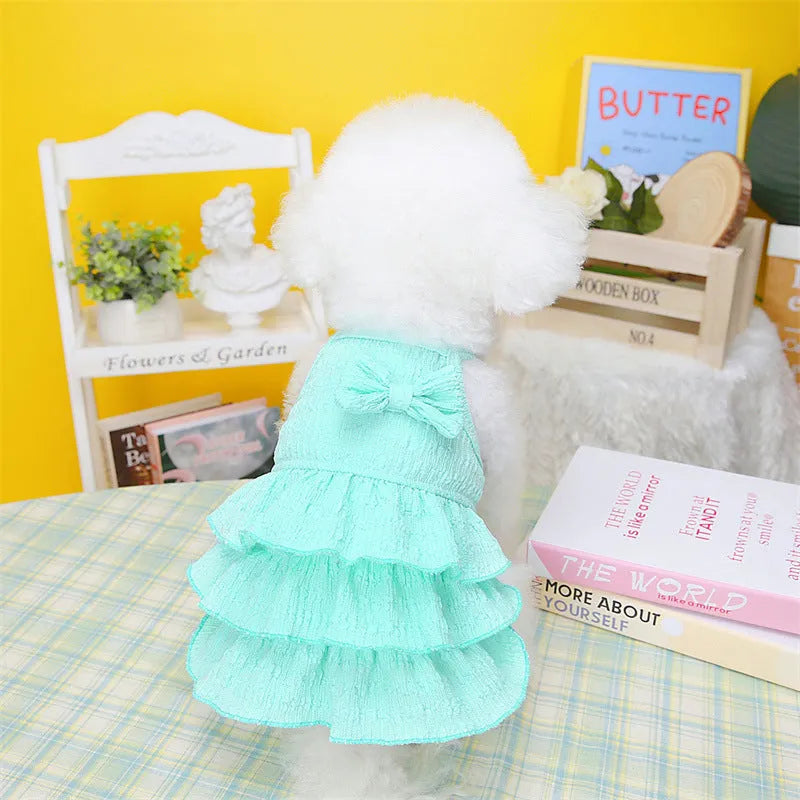 Small white dog wearing a rose red polyester princess dress with a layered candy skirt