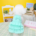 Small white dog wearing a rose red polyester princess dress with a layered candy skirt