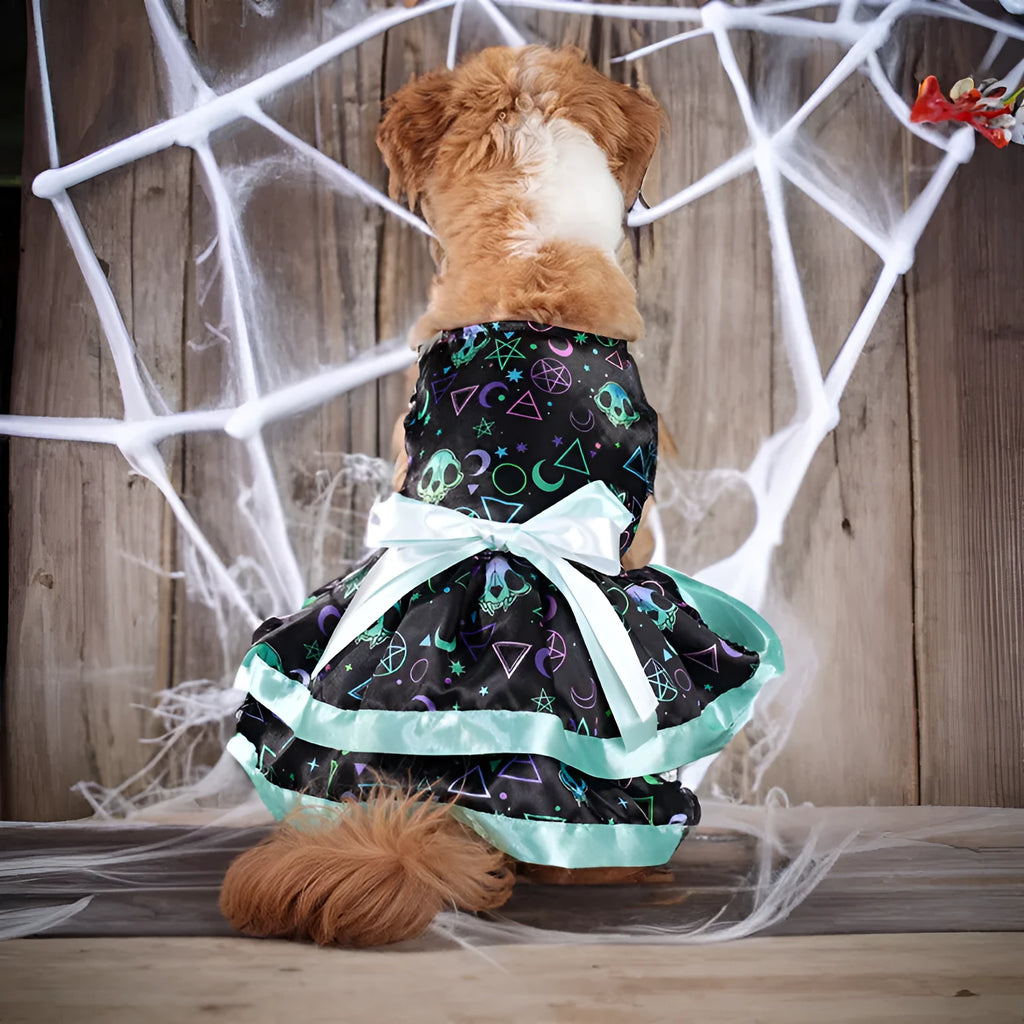 Colourful double-layer Halloween skirt for a dog, showing pumpkin and skull pattern options.